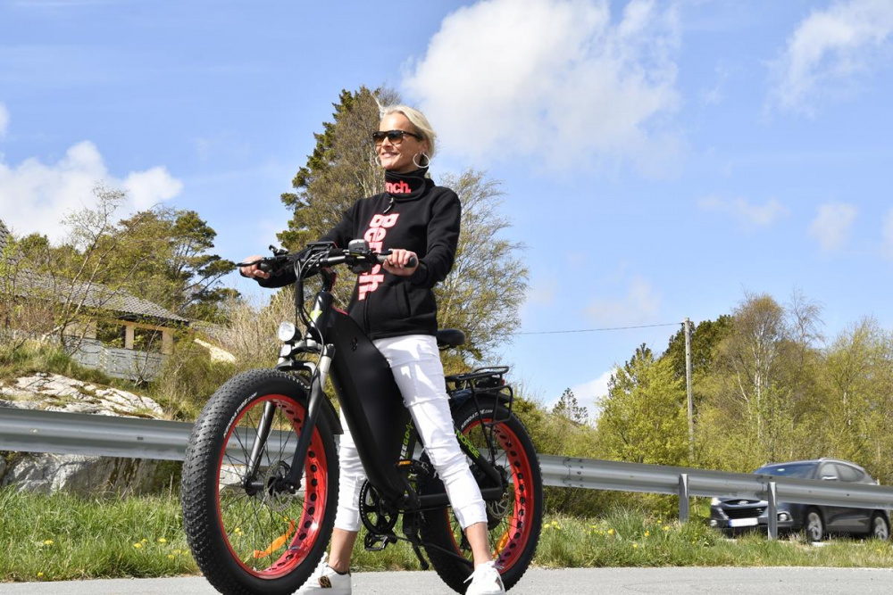 El fatbike cheap